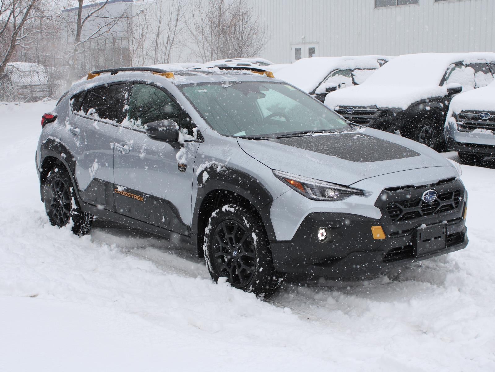 2026 Subaru Crosstrek Wilderness