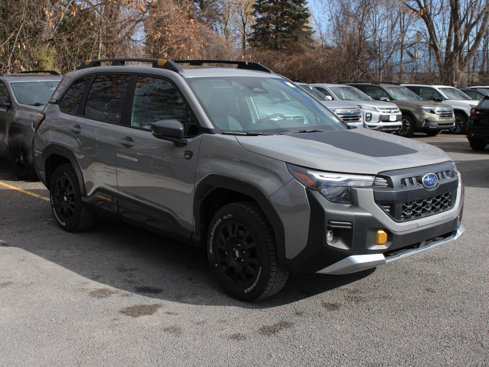 2026 Subaru Forester Wilderness