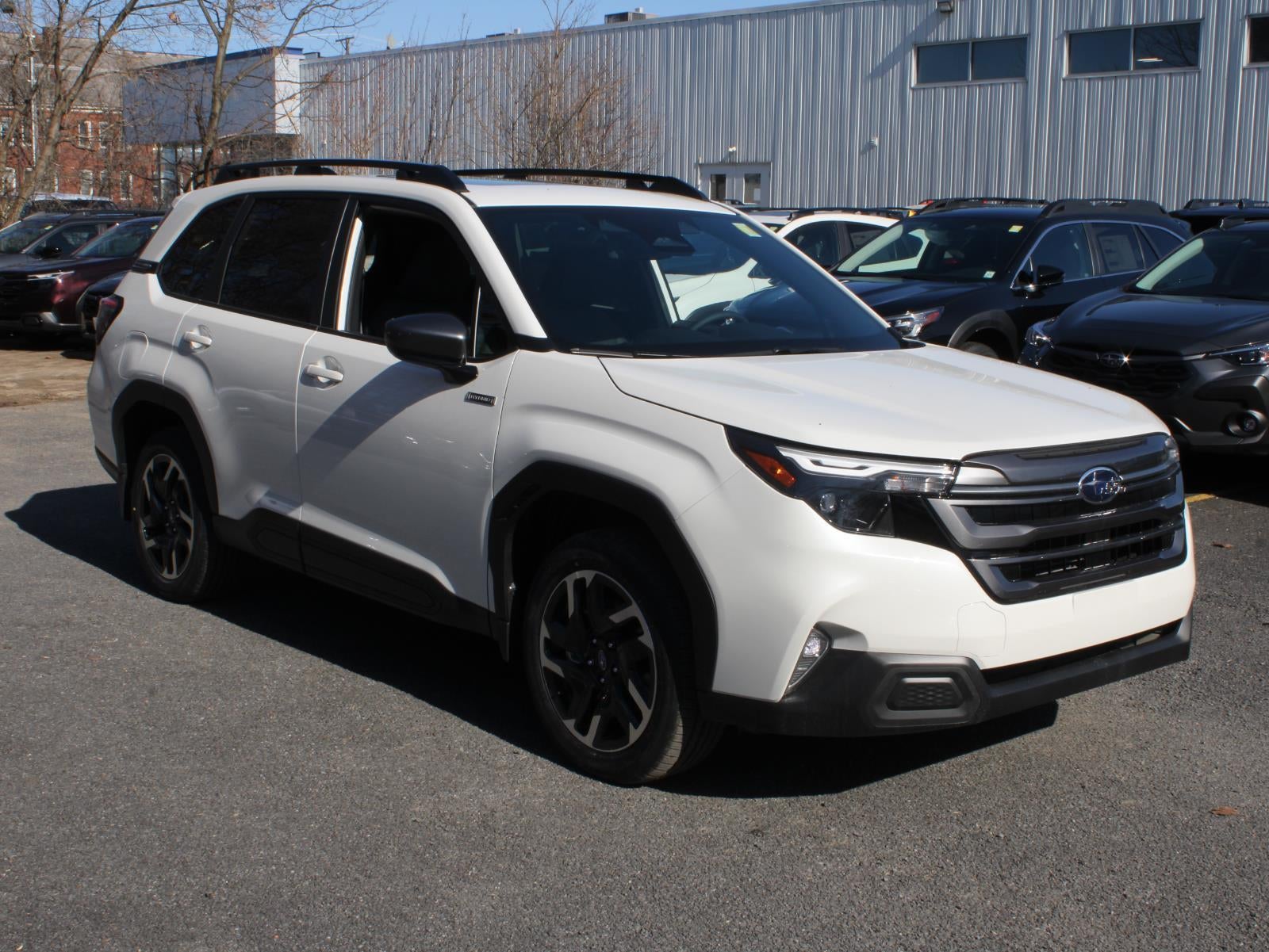 2026 Subaru Forester Premium Hybrid