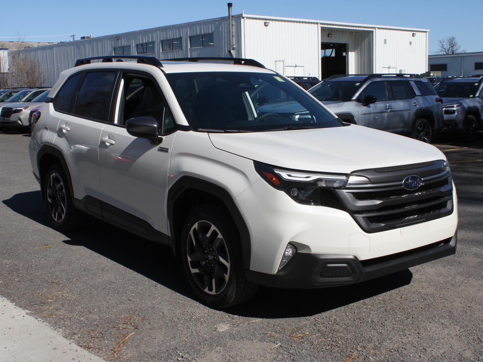 2026 Subaru Forester Premium Hybrid
