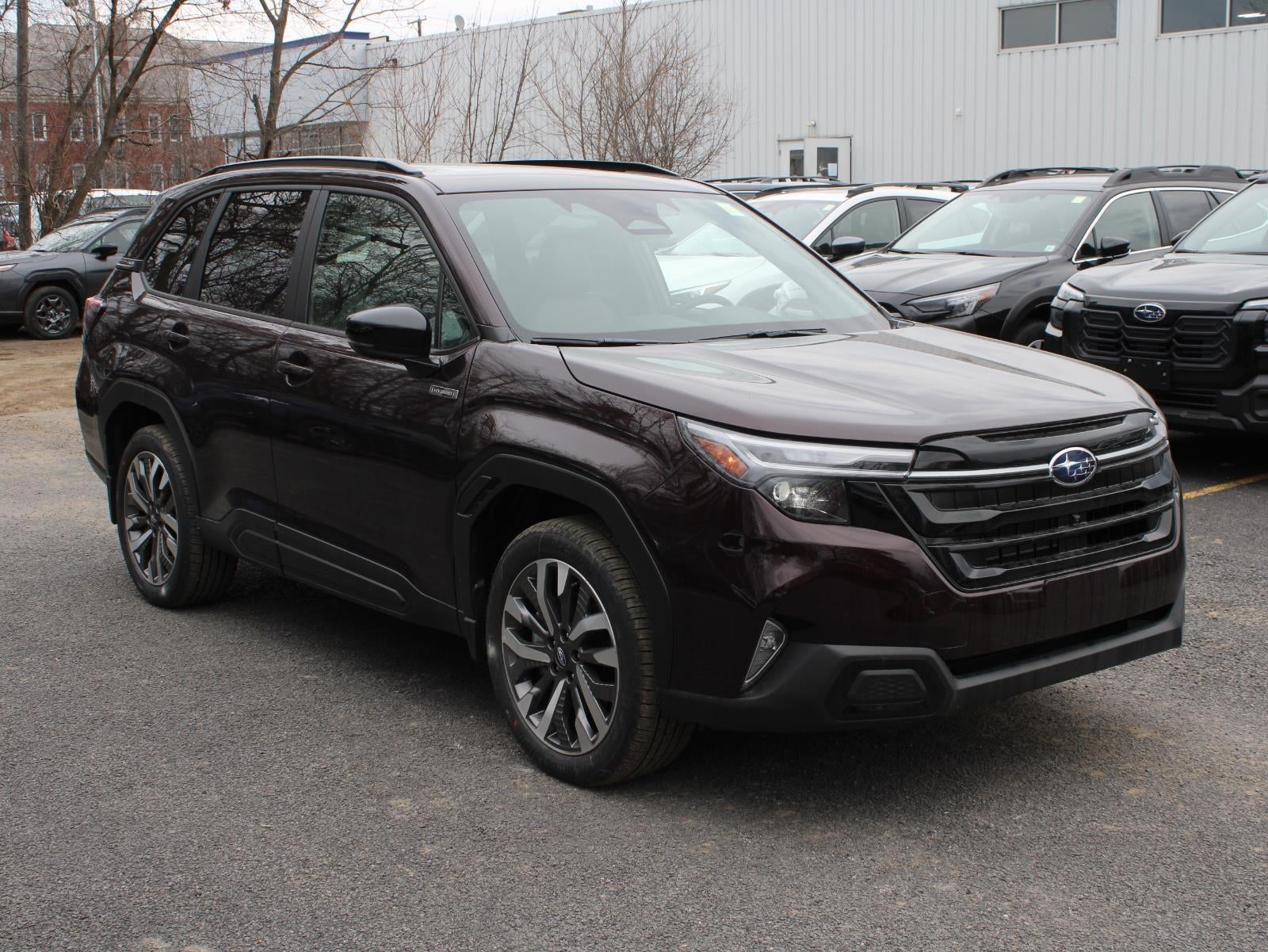 2026 Subaru Forester Touring Hybrid