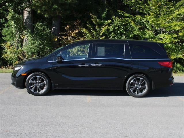 2024 Honda Odyssey Elite