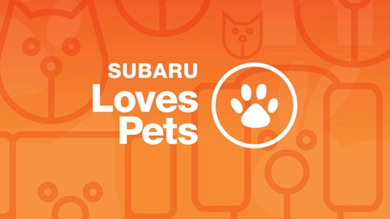 DELLA Subaru of Plattsburgh in Plattsburgh NY