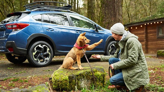 DELLA Subaru of Plattsburgh in Plattsburgh NY
