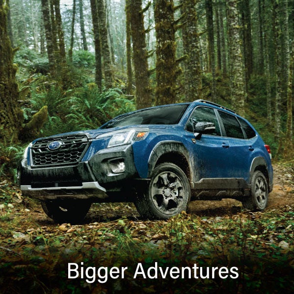 A blue Subaru outback wilderness with the words &ldquo;Bigger Adventures&ldquo;. | DELLA Subaru of Plattsburgh in Plattsburgh NY